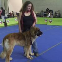 Salzburg Clubschau Mai 06 064 